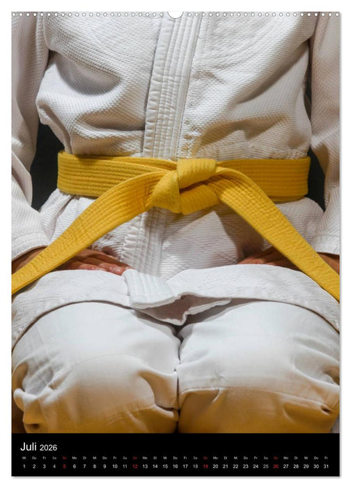 Kampfkunst (CALVENDO Premium Wandkalender 2026)