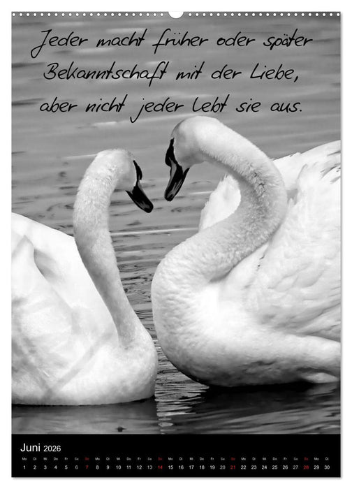 Kluge Sprüche in Schwarz-Weiß (CALVENDO Premium Wandkalender 2026)