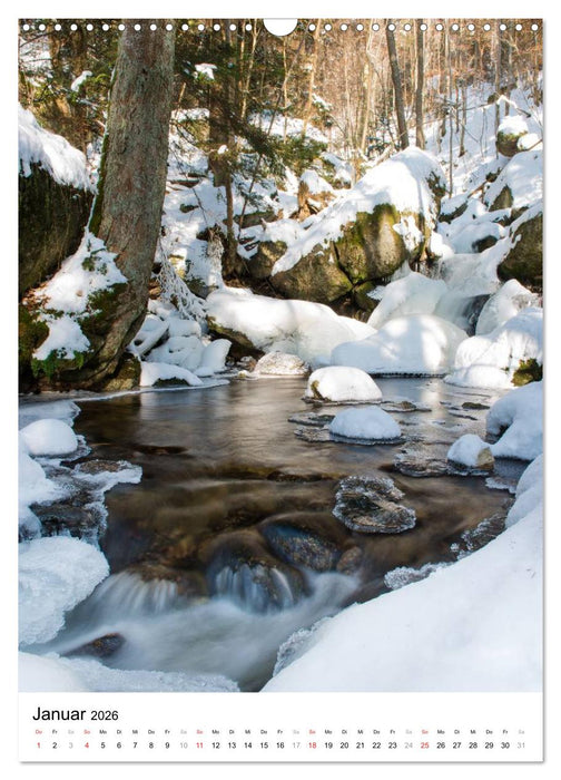 Klammen und Schluchten in Österreich 2026 (CALVENDO Wandkalender 2026)