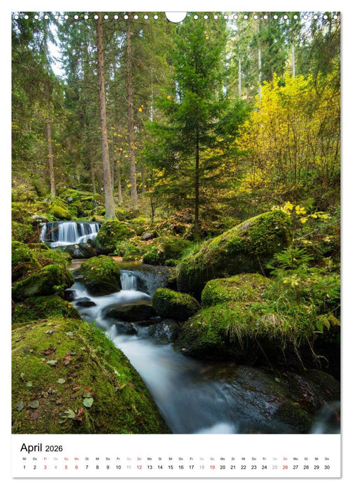 Klammen und Schluchten in Österreich 2026 (CALVENDO Wandkalender 2026)