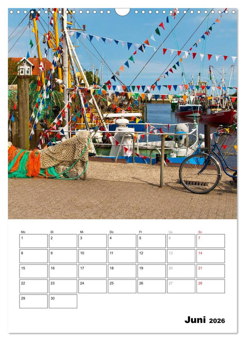 Neuharlingersiel Hafenromantik / Planer (CALVENDO Wandkalender 2026)