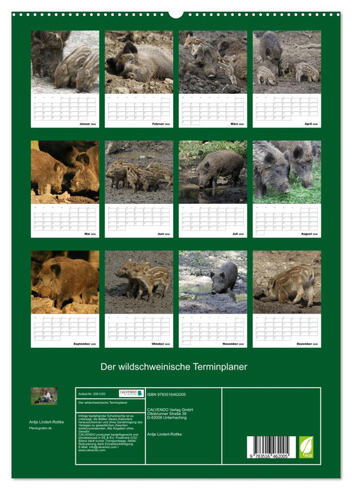 Der wildschweinische Terminplaner (CALVENDO Premium Wandkalender 2026)