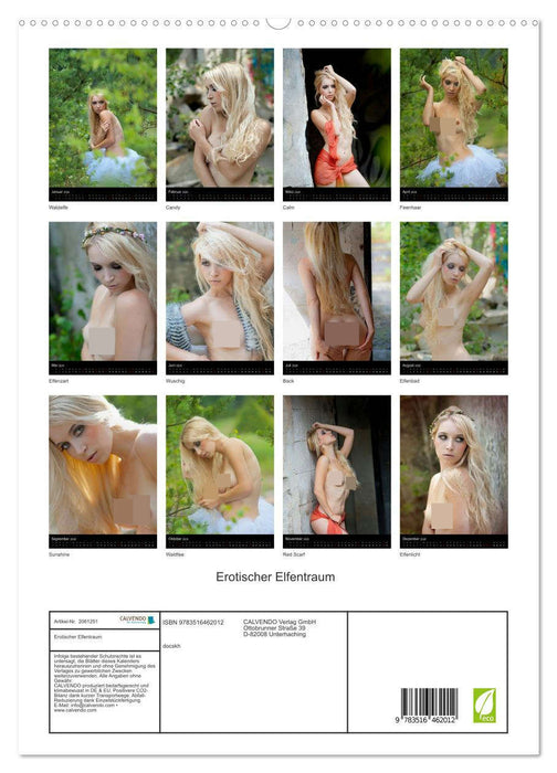 Erotischer Elfentraum (CALVENDO Premium Wandkalender 2026)