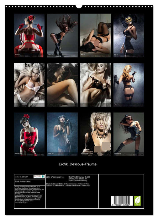 Erotik. Dessous-Träume (CALVENDO Premium Wandkalender 2026)
