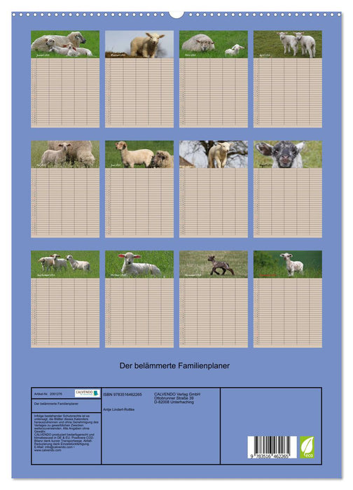 Der belämmerte Familienplaner (CALVENDO Premium Wandkalender 2026)
