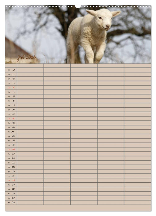 Der belämmerte Familienplaner (CALVENDO Premium Wandkalender 2026)