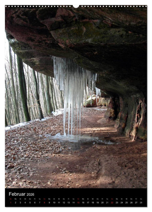 Am Ende geht es weiter! 2026 (CALVENDO Premium Wandkalender 2026)