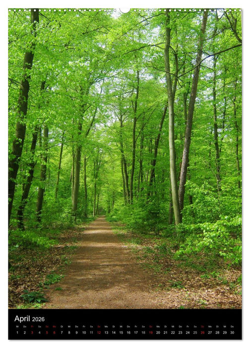 Am Ende geht es weiter! 2026 (CALVENDO Premium Wandkalender 2026)