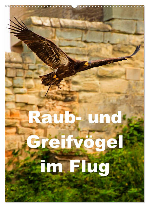 Raub- und Greifvögel im Flug (CALVENDO Wandkalender 2026)
