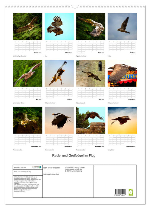 Raub- und Greifvögel im Flug (CALVENDO Wandkalender 2026)