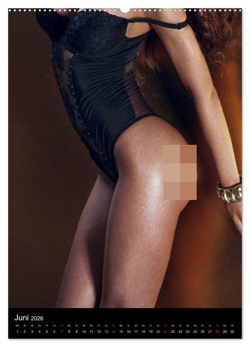 Erotik - Reizvolle Rundungen (CALVENDO Wandkalender 2026)
