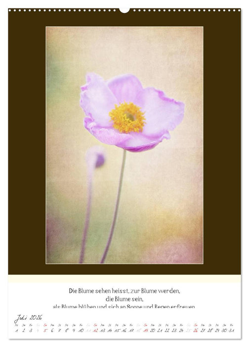 Der Buddhistische Weisheiten Kalender (CALVENDO Premium Wandkalender 2026)