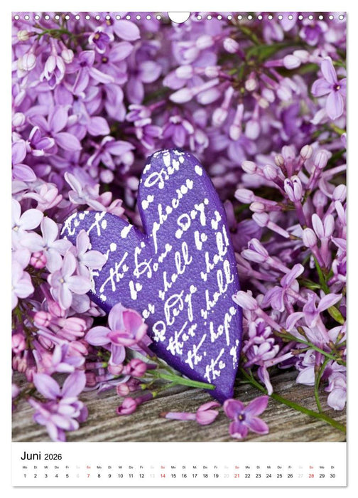 Bilder, die von Herzen kommen (CALVENDO Wandkalender 2026)