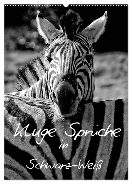 Kluge Sprüche in Schwarz-Weiß (CALVENDO Wandkalender 2026)