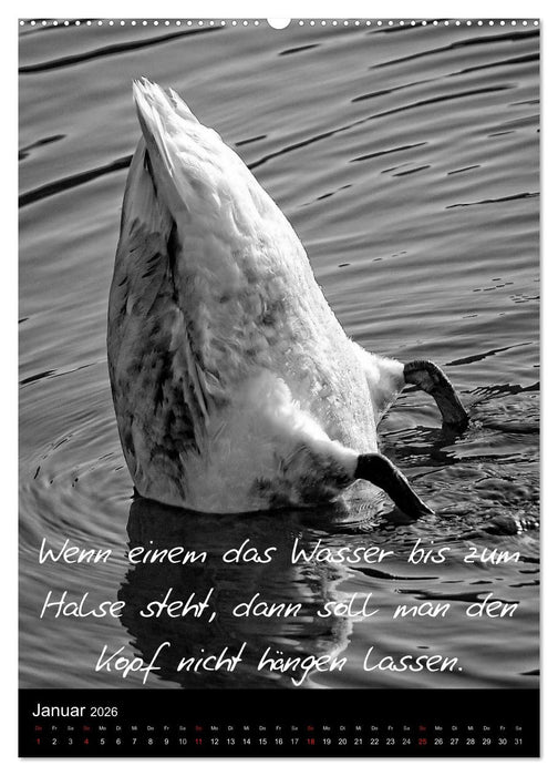 Kluge Sprüche in Schwarz-Weiß (CALVENDO Wandkalender 2026)