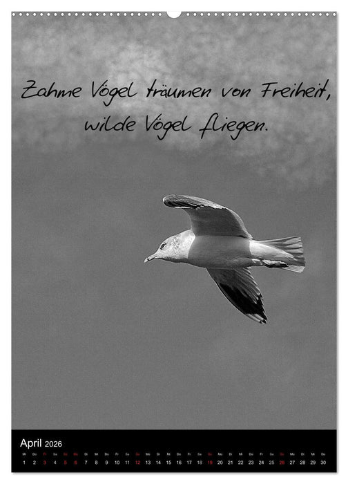 Kluge Sprüche in Schwarz-Weiß (CALVENDO Wandkalender 2026)