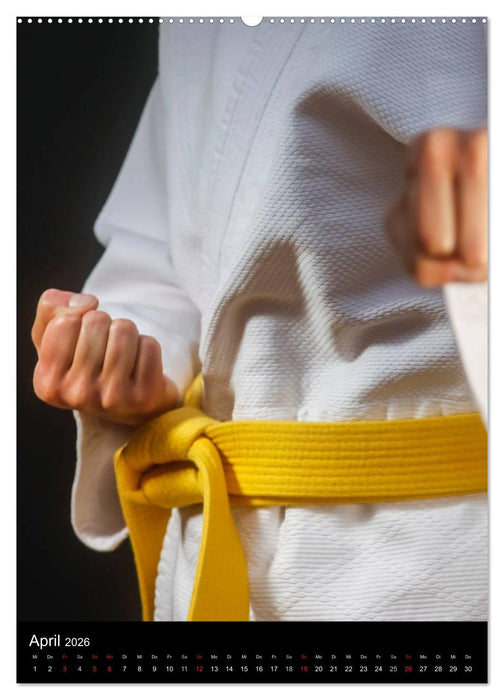 Kampfkunst (CALVENDO Wandkalender 2026)