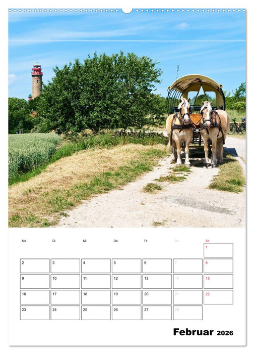 Rügen und Hiddensee - Bilder eines Sommers / Planer (CALVENDO Wandkalender 2026)