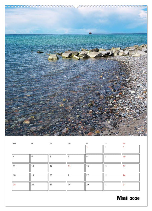 Rügen und Hiddensee - Bilder eines Sommers / Planer (CALVENDO Wandkalender 2026)