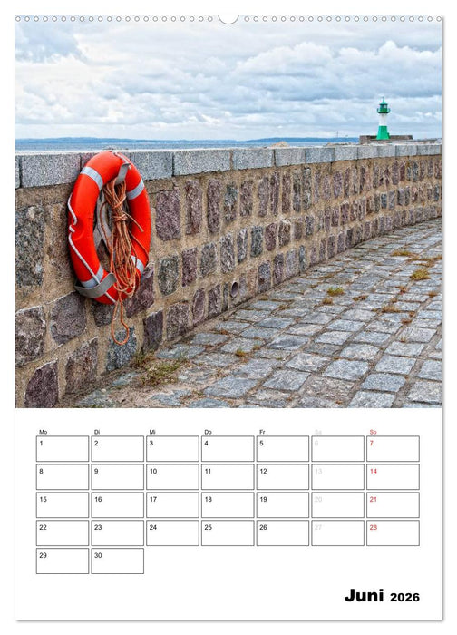 Rügen und Hiddensee - Bilder eines Sommers / Planer (CALVENDO Wandkalender 2026)