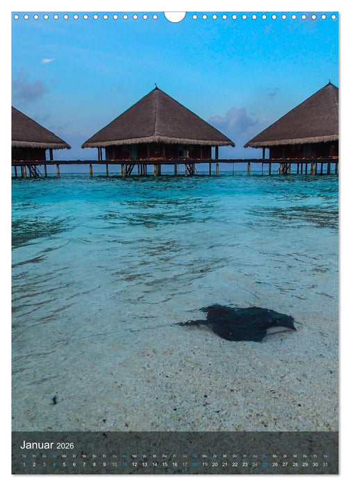 Malediven - Inselwelt im Indischen Ozean (CALVENDO Wandkalender 2026)