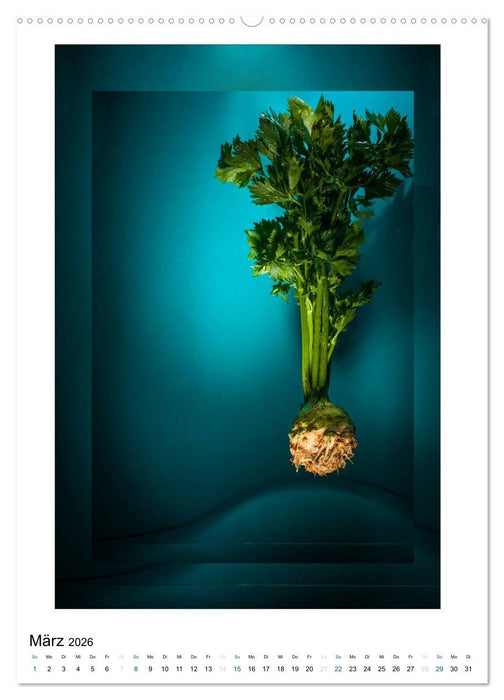 Apfel, Birne, Sellerie & Co (CALVENDO Premium Wandkalender 2026)