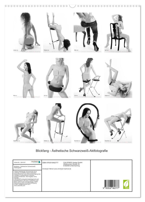 Blickfang - Ästhetische Schwarzweiß-Aktfotografie (CALVENDO Premium Wandkalender 2026)