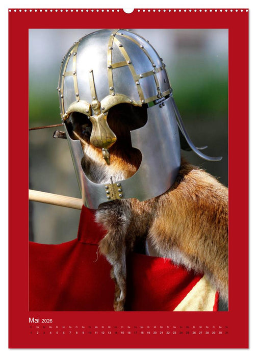 Ausflug ins Mittelalter (CALVENDO Wandkalender 2026)