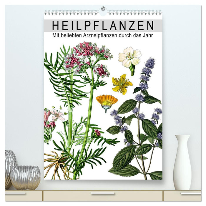 Heilpflanzen (CALVENDO Premium Wandkalender 2026)