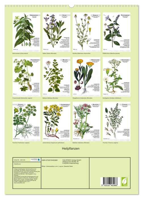 Heilpflanzen (CALVENDO Premium Wandkalender 2026)