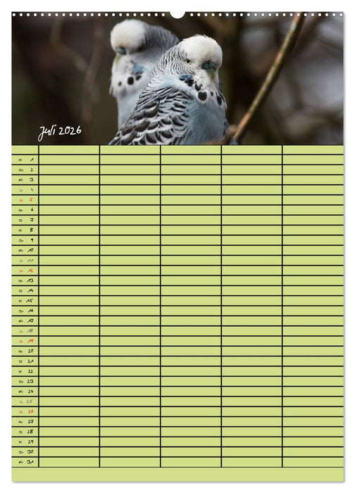 Der Wellensittich-Familienplaner (CALVENDO Premium Wandkalender 2026)