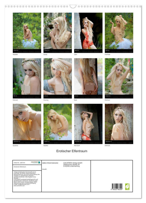 Erotischer Elfentraum (CALVENDO Wandkalender 2026)