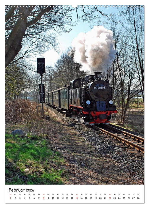 Rügen-Idyllische Momente (CALVENDO Premium Wandkalender 2026)
