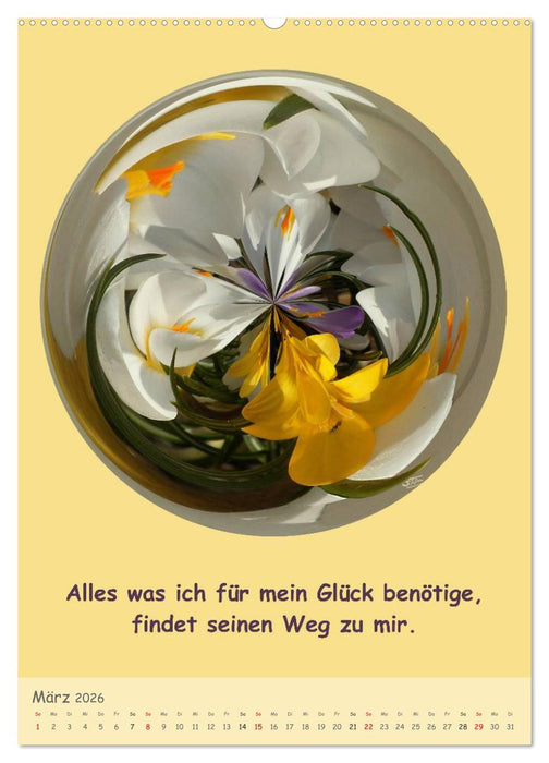 Meditative Natur (CALVENDO Premium Wandkalender 2026)