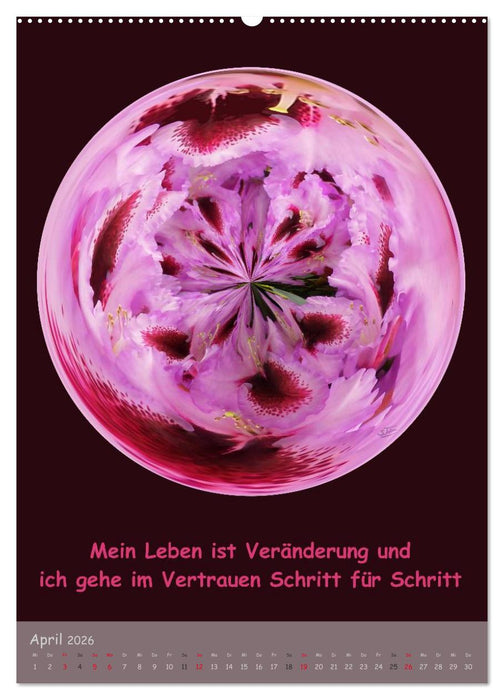 Meditative Natur (CALVENDO Premium Wandkalender 2026)