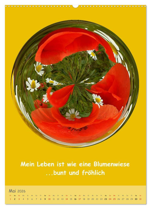 Meditative Natur (CALVENDO Premium Wandkalender 2026)