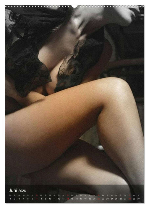 Erotik. Dessous-Träume (CALVENDO Wandkalender 2026)