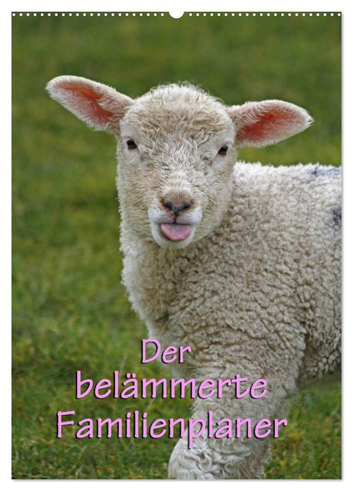 Der belämmerte Familienplaner (CALVENDO Wandkalender 2026)