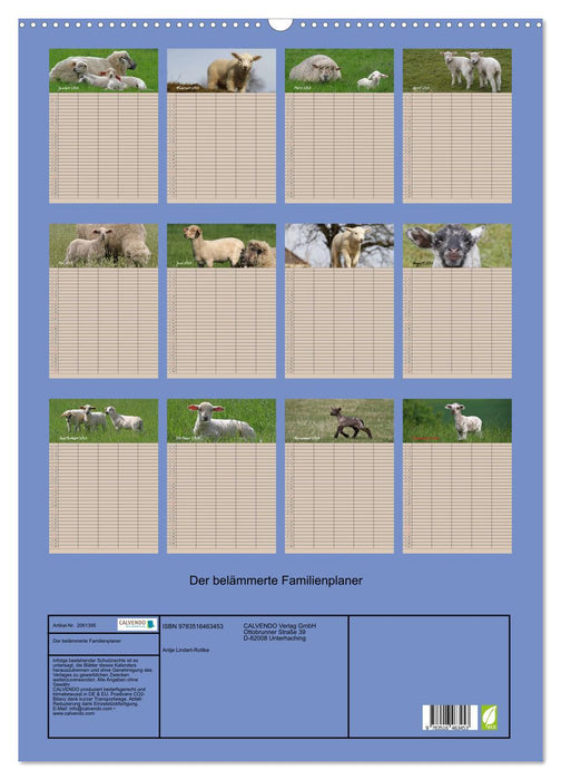 Der belämmerte Familienplaner (CALVENDO Wandkalender 2026)