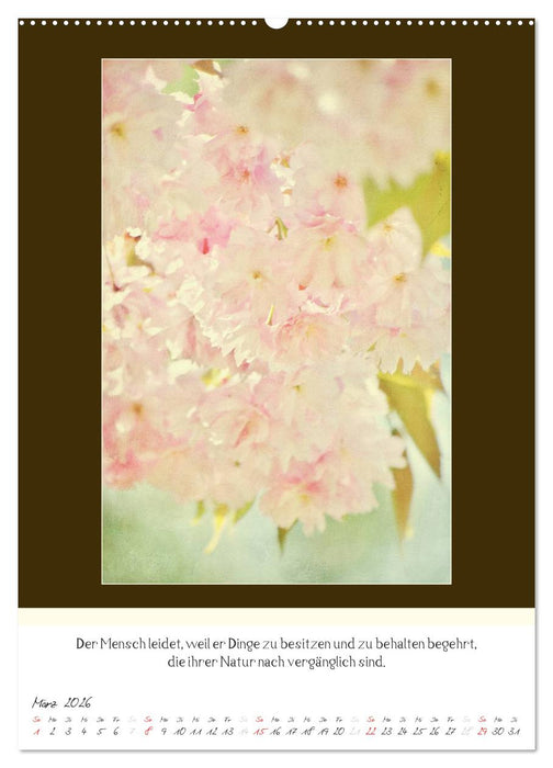 Der Buddhistische Weisheiten Kalender (CALVENDO Wandkalender 2026)