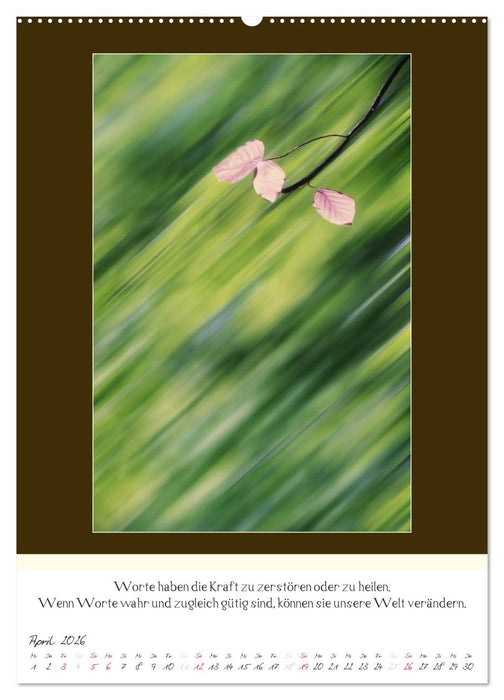 Der Buddhistische Weisheiten Kalender (CALVENDO Wandkalender 2026)