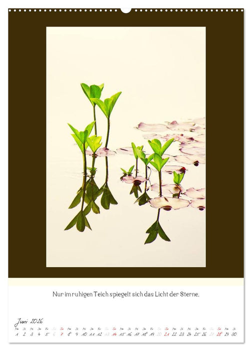 Der Buddhistische Weisheiten Kalender (CALVENDO Wandkalender 2026)