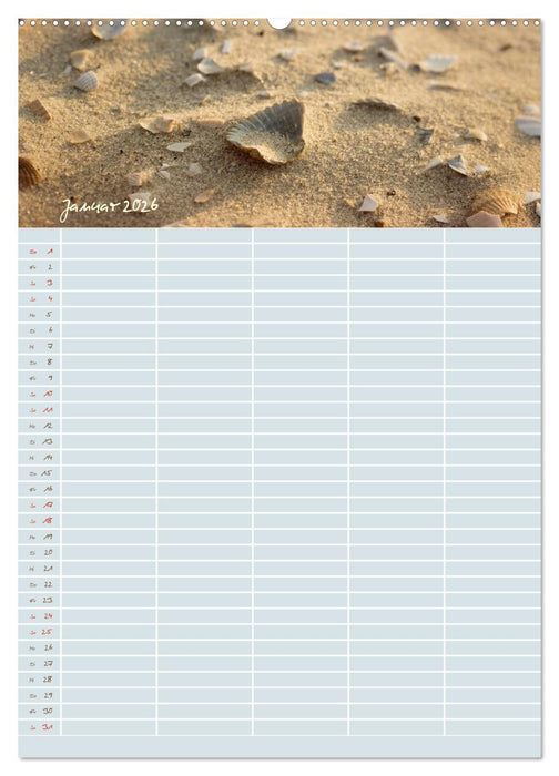 Kleine Sand-Schönheiten / Familienplaner (CALVENDO Premium Wandkalender 2026)