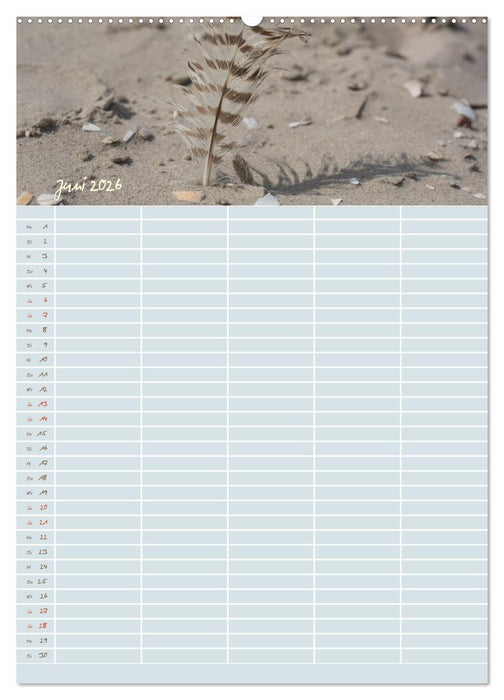 Kleine Sand-Schönheiten / Familienplaner (CALVENDO Premium Wandkalender 2026)