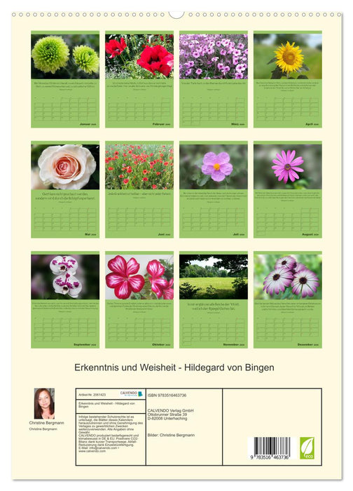 Erkenntnis und Weisheit - Hildegard von Bingen (CALVENDO Premium Wandkalender 2026)