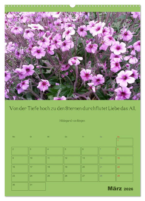 Erkenntnis und Weisheit - Hildegard von Bingen (CALVENDO Premium Wandkalender 2026)