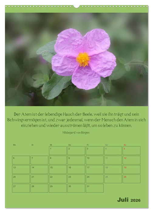 Erkenntnis und Weisheit - Hildegard von Bingen (CALVENDO Premium Wandkalender 2026)
