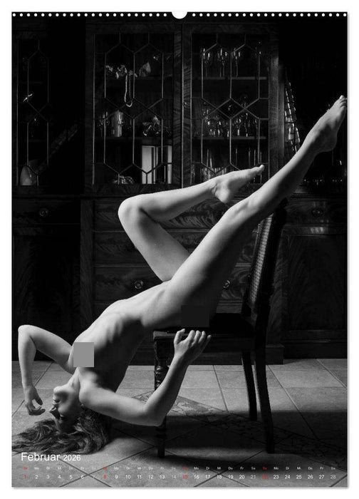 Hautnah - Erotische Einblicke ins Wohnzimmer (CALVENDO Premium Wandkalender 2026)