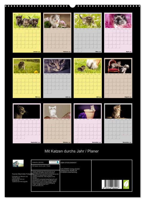 Mit Katzen durchs Jahr / Planer (CALVENDO Premium Wandkalender 2026)