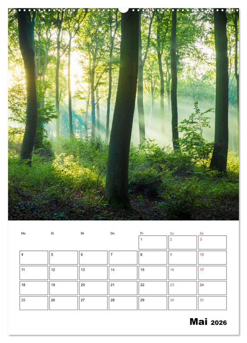 Traumhaftes Deutschland - Idyllische Ansichten (CALVENDO Premium Wandkalender 2026)